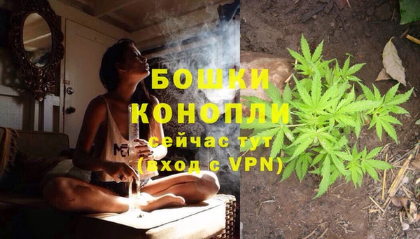мескалин Ельня