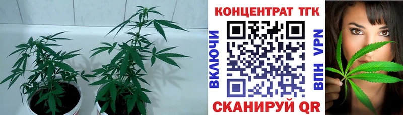 Дистиллят ТГК вейп  наркошоп  Междуреченск 